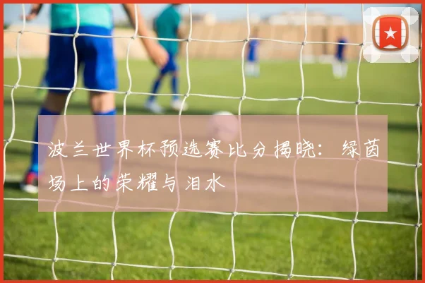 波兰世界杯预选赛比分揭晓：绿茵场上的荣耀与泪水