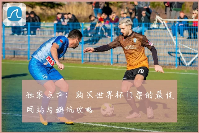 独家点评：购买世界杯门票的最佳网站与避坑攻略